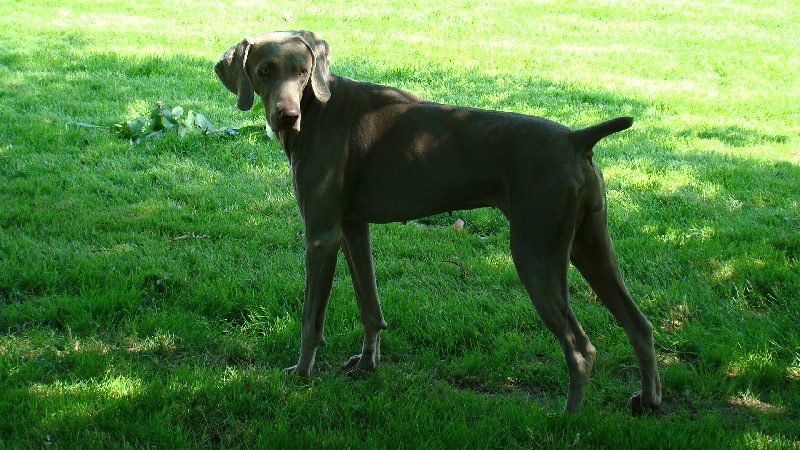 ULCIA dans le jardin